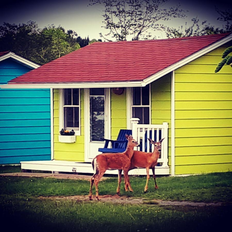 Atlantic View Motel Lunenburg Bagian luar foto