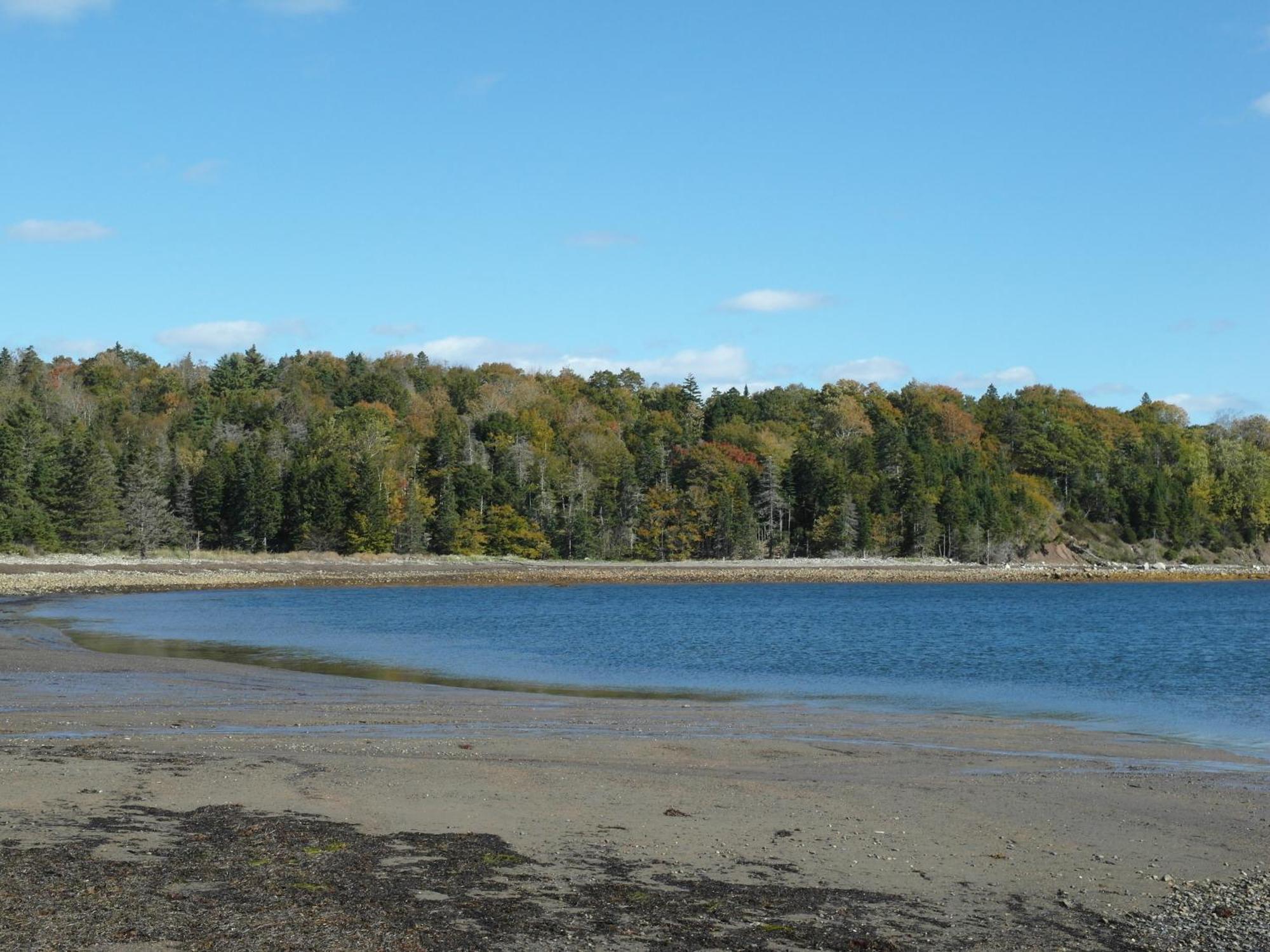 Atlantic View Motel Lunenburg Bagian luar foto