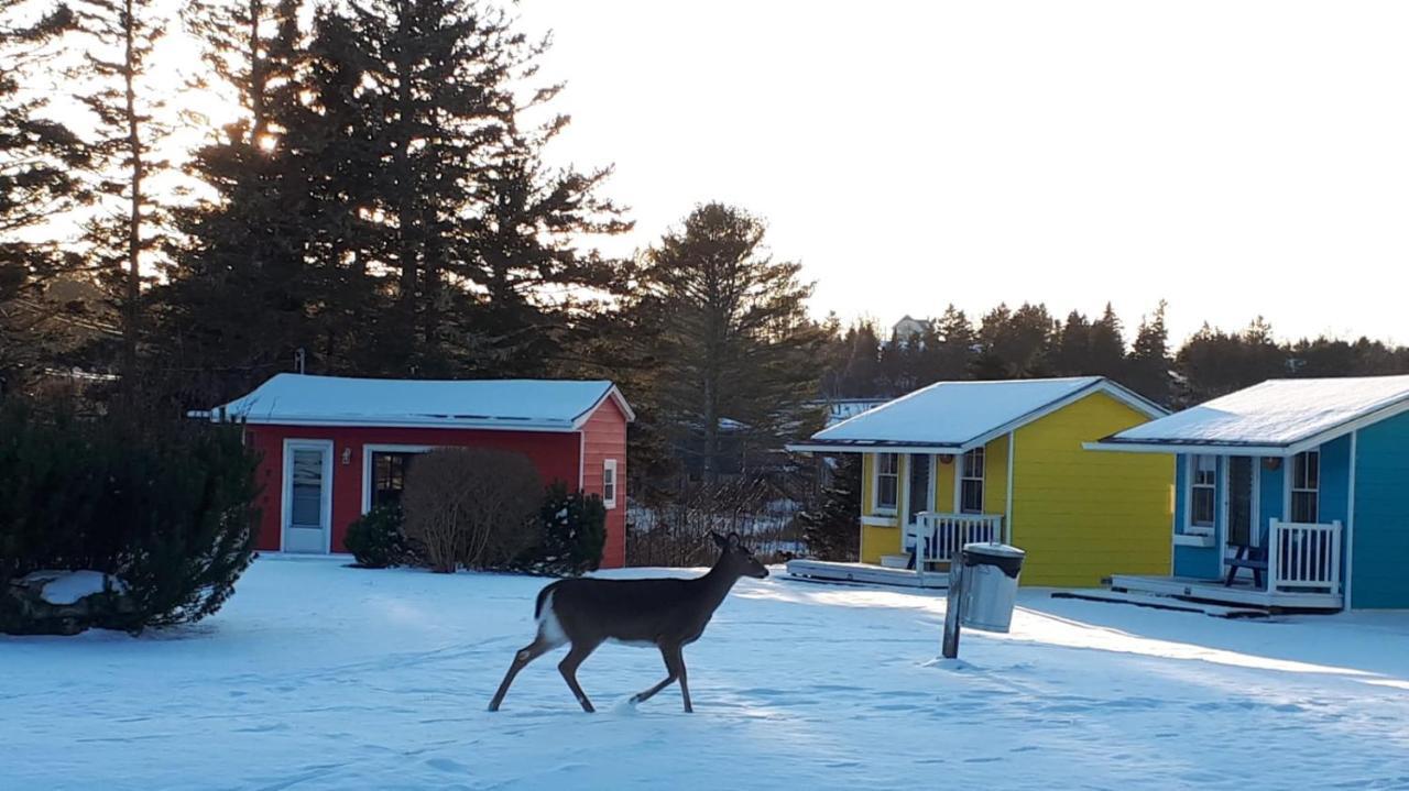 Atlantic View Motel Lunenburg Bagian luar foto